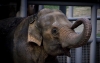 Wild Animal Park