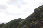 recovered_103561.jpg