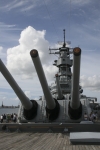 recovered_1065993.jpg