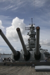 recovered_1071817.jpg