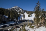 _MG_4768.jpg