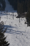 _MG_4778.jpg