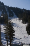 _MG_4779.jpg