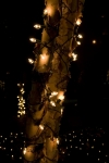 Random Picture