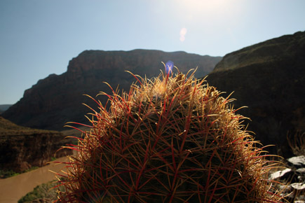 canyon5.jpg