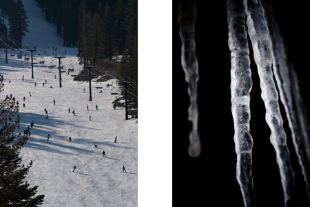 mammoth2.jpg