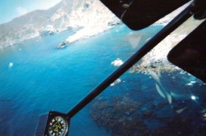 Catalina Reefs