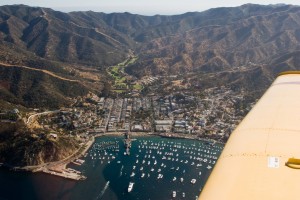 Avalon - Catalina